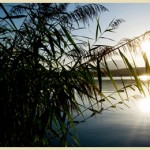 vd_slider_image_sommer_06